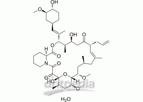 HY-13756A Tacrolimus monohydrate | MedChemExpress (MCE)