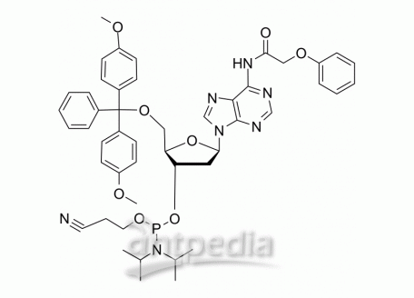 HY-138581 DMT-dA(PAc) Phosphoramidite | MedChemExpress (MCE)