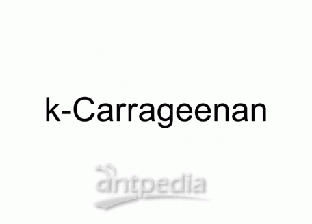 HY-138962 κ-Carrageenan | MedChemExpress (MCE)