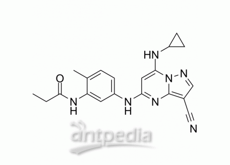 SGC-CK2-1 | MedChemExpress (MCE)