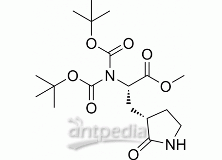 HY-139683 Antiviral agent 5 | MedChemExpress (MCE)