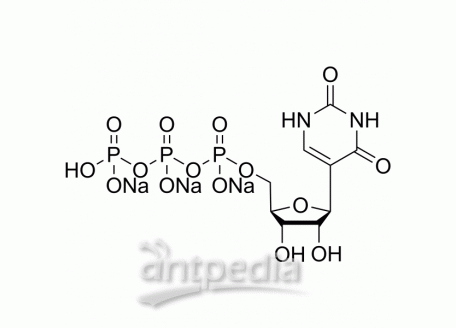 HY-141567A Pseudouridine 5