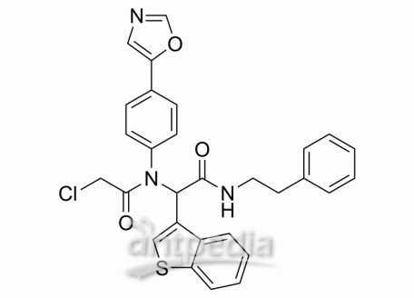 GPX4-IN-3 | MedChemExpress (MCE)