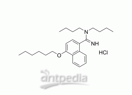 HY-145079 Bunamidine hydrochloride | MedChemExpress (MCE)
