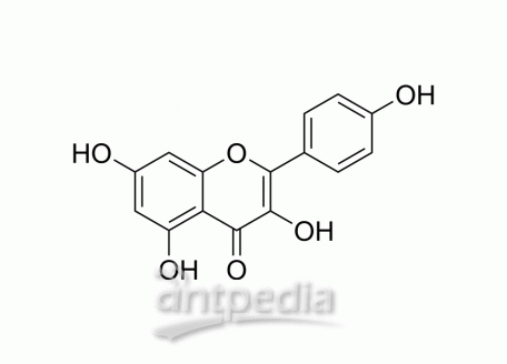 HY-14590 Kaempferol | MedChemExpress (MCE)