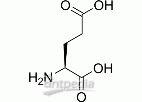 L-Glutamic acid | MedChemExpress (MCE)