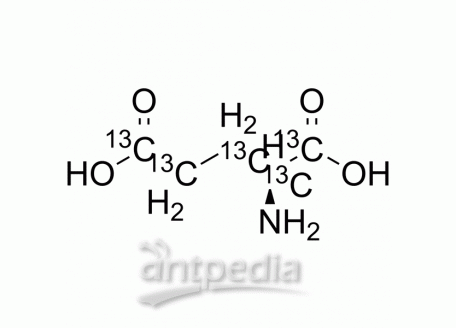 HY-14608S5 L-Glutamic acid-13C5 | MedChemExpress (MCE)