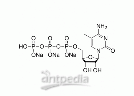 5-Methylcytidine 5′-triphosphate trisodium | MedChemExpress (MCE)
