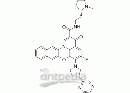 HY-14776 Quarfloxin | MedChemExpress (MCE)