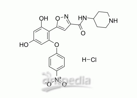 HY-148215A Hsp90-IN-17 hydrochloride | MedChemExpress (MCE)
