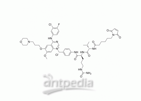 HY-148871 Mc-Val-Cit-PAB-Gefitinib chloride | MedChemExpress (MCE)