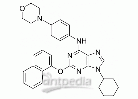 HY-15108 Purmorphamine | MedChemExpress (MCE)