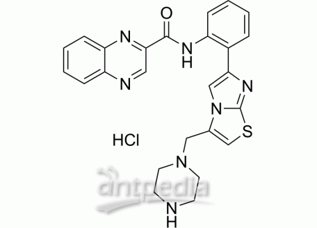 SRT 1720 Hydrochloride | MedChemExpress (MCE)