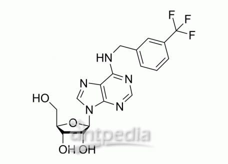 Antiviral agent 24 | MedChemExpress (MCE)