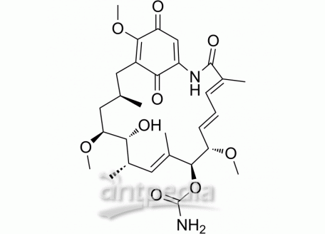 HY-15230 Geldanamycin | MedChemExpress (MCE)