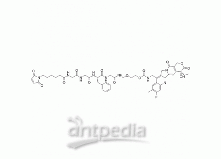 MC-GGFG-AM-(10Me-11F-Camptothecin) | MedChemExpress (MCE)