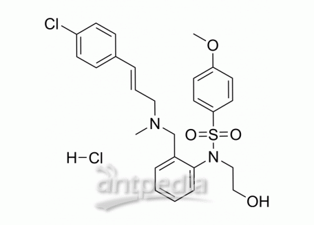 KN-93 hydrochloride | MedChemExpress (MCE)