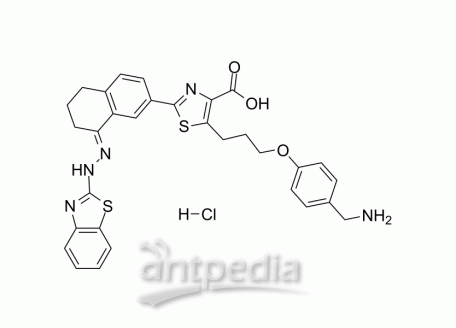HY-15607A WEHI-539 hydrochloride | MedChemExpress (MCE)