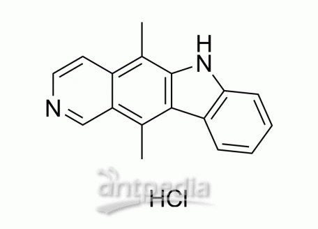HY-15753A Ellipticine hydrochloride | MedChemExpress (MCE)