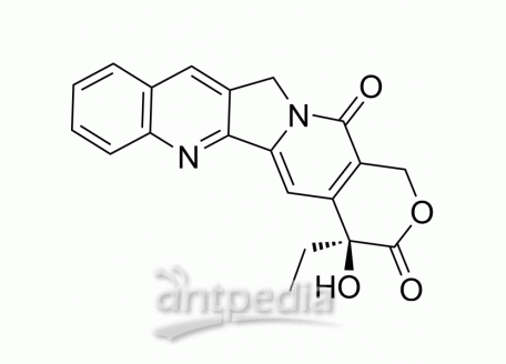 HY-16560 Camptothecin | MedChemExpress (MCE)
