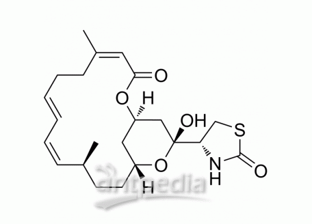 HY-16929 Latrunculin A | MedChemExpress (MCE)