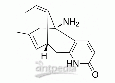 HY-17387 (-)-Huperzine A | MedChemExpress (MCE)