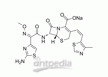 HY-17452 Cefditoren sodium | MedChemExpress (MCE)