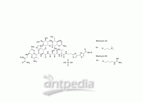 HY-17565 Bleomycin sulfate | MedChemExpress (MCE)