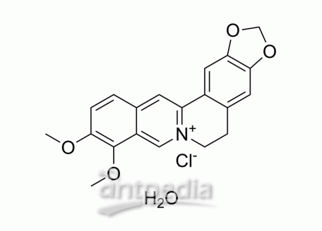 HY-17577 Berberine chloride hydrate | MedChemExpress (MCE)