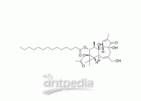 HY-18739 Phorbol 12-myristate 13-acetate | MedChemExpress (MCE)