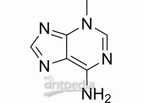 HY-19312 3-Methyladenine | MedChemExpress (MCE)
