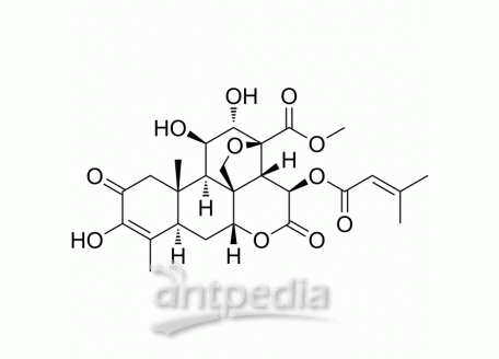 HY-19543 Brusatol | MedChemExpress (MCE)