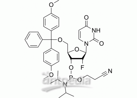 DMT-2′Fluoro-dU Phosphoramidite | MedChemExpress (MCE)