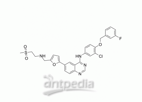 HY-50898 Lapatinib | MedChemExpress (MCE)