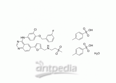 Lapatinib ditosylate monohydrate | MedChemExpress (MCE)