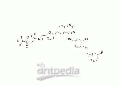 Lapatinib-d5 | MedChemExpress (MCE)