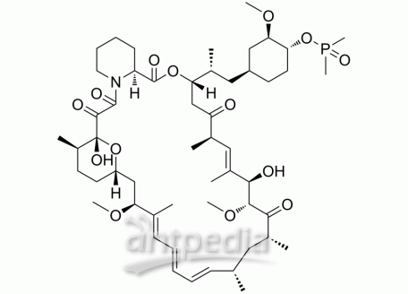 HY-50908 Ridaforolimus | MedChemExpress (MCE)