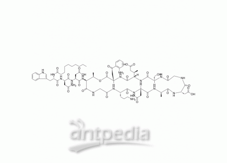 Daptomycin | MedChemExpress (MCE)