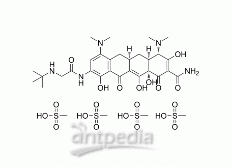 HY-B0117C Tigecycline tetramesylate | MedChemExpress (MCE)