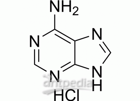 HY-B0152A Adenine hydrochloride | MedChemExpress (MCE)