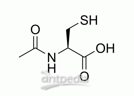 HY-B0215 Acetylcysteine | MedChemExpress (MCE)