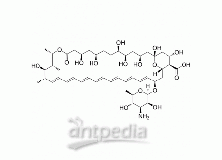 HY-B0221 Amphotericin B | MedChemExpress (MCE)