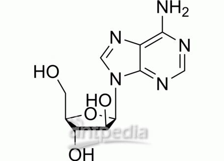 HY-B0277 Vidarabine | MedChemExpress (MCE)