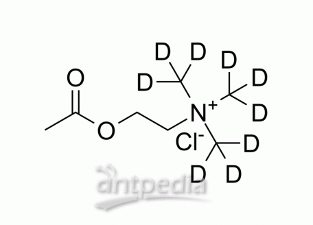 HY-B0282S1 Acetylcholine-d9 chloride | MedChemExpress (MCE)