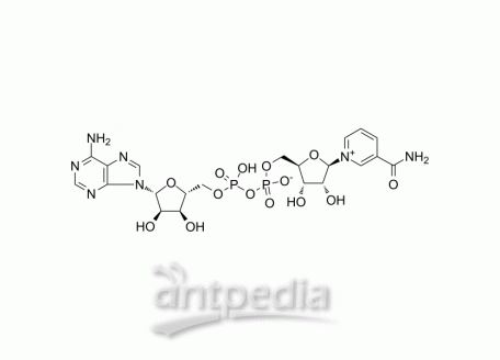 HY-B0445 NAD+ | MedChemExpress (MCE)
