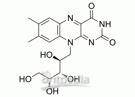 Riboflavin | MedChemExpress (MCE)