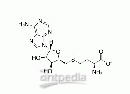 S-Adenosyl-L-methionine | MedChemExpress (MCE)