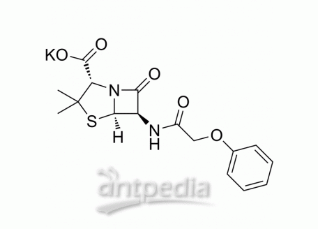 HY-B0975 Penicillin V Potassium | MedChemExpress (MCE)