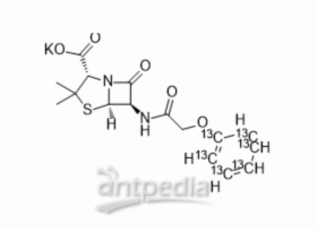 HY-B0975S Penicillin V-13C6 potassium | MedChemExpress (MCE)