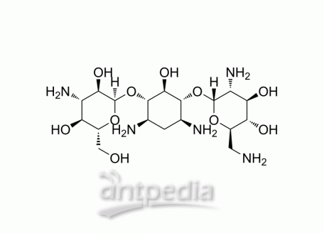 HY-B1174 Bekanamycin | MedChemExpress (MCE)
